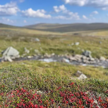 Traditional With Views Of Hardangervidda Holiday home *