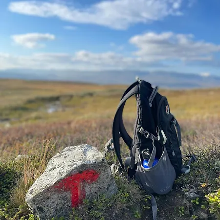 Traditional With Views Of Hardangervidda
